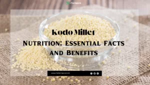Bowl of Kodo millet on a rustic table with millet spikes and grains under natural lighting.