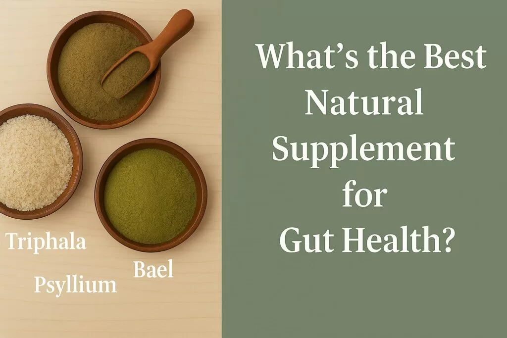 Supplement for Gut Health