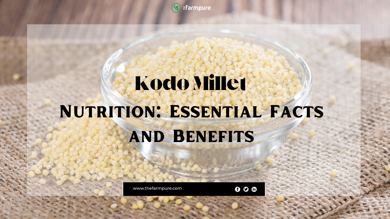 kodo-millet-nutrition-essential-facts-and-benefits