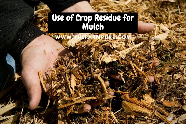 Crop Residue And Stubble Burning In India