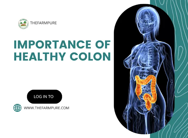 Importance of Healthy Colon