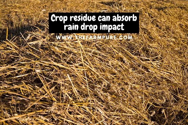 Crop Residue And Stubble Burning In India