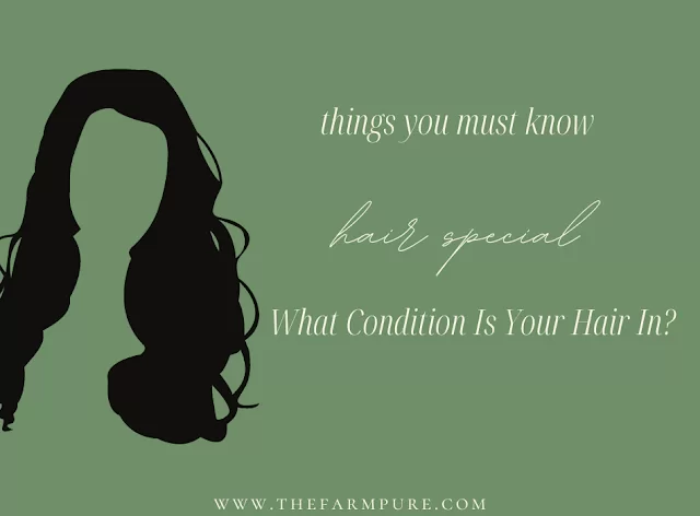 What Condition Is Your Hair In?