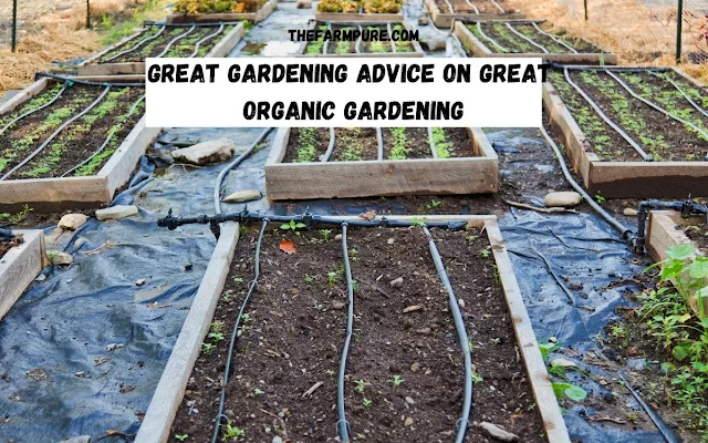 Great Gardening Advice On Great Organic Gardening
