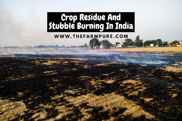 Crop Residue And Stubble Burning In India