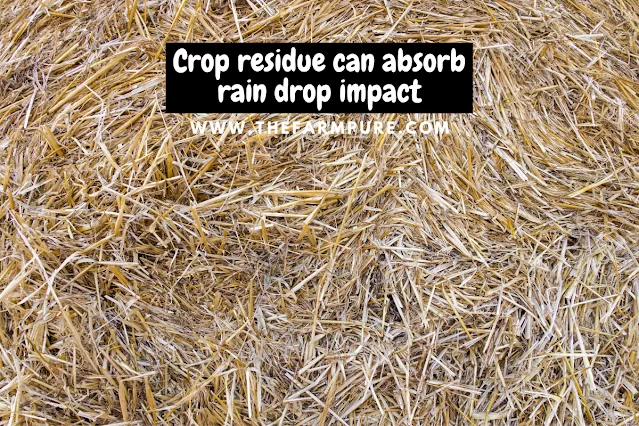Crop Residue And Stubble Burning In India