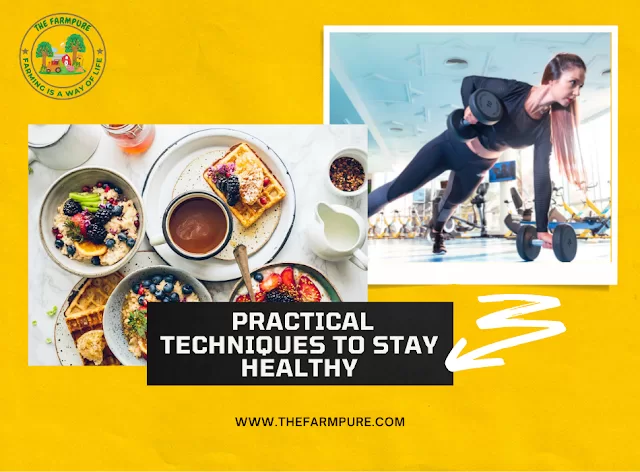 Practical Techniques To Stay Healthy