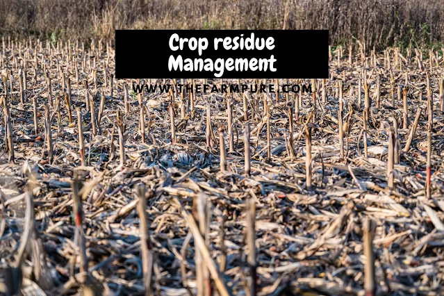 Crop Residue And Stubble Burning In India