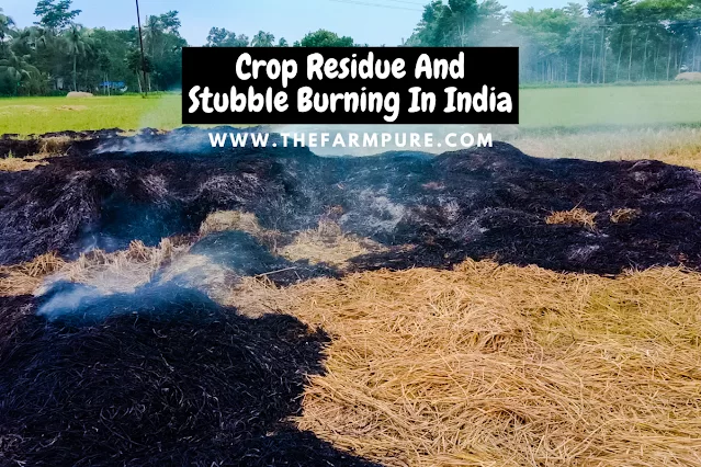 Crop Residue And Stubble Burning In India