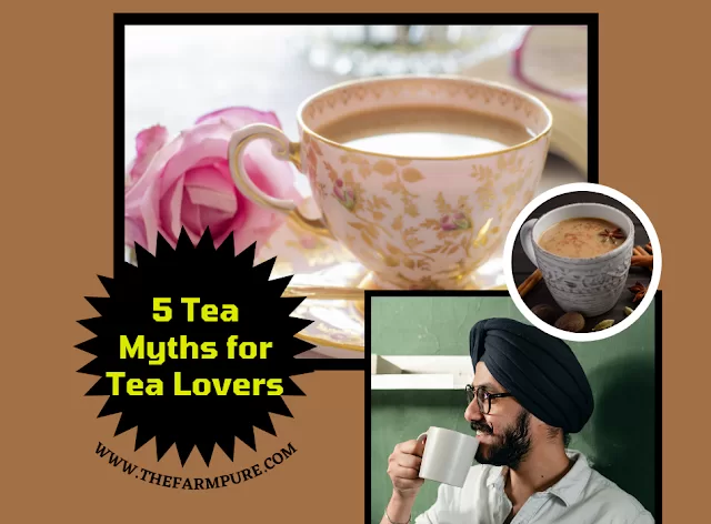 5 tea myths for tea lovers