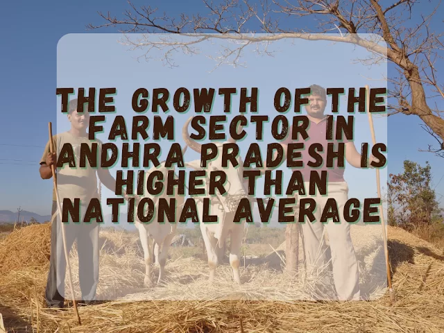 Are%2Bour%2Bstaple%2Bgrains%2Bof%2Bwheat%2Band%2Brice%2Blosing%2Btheir%2Bnutrients