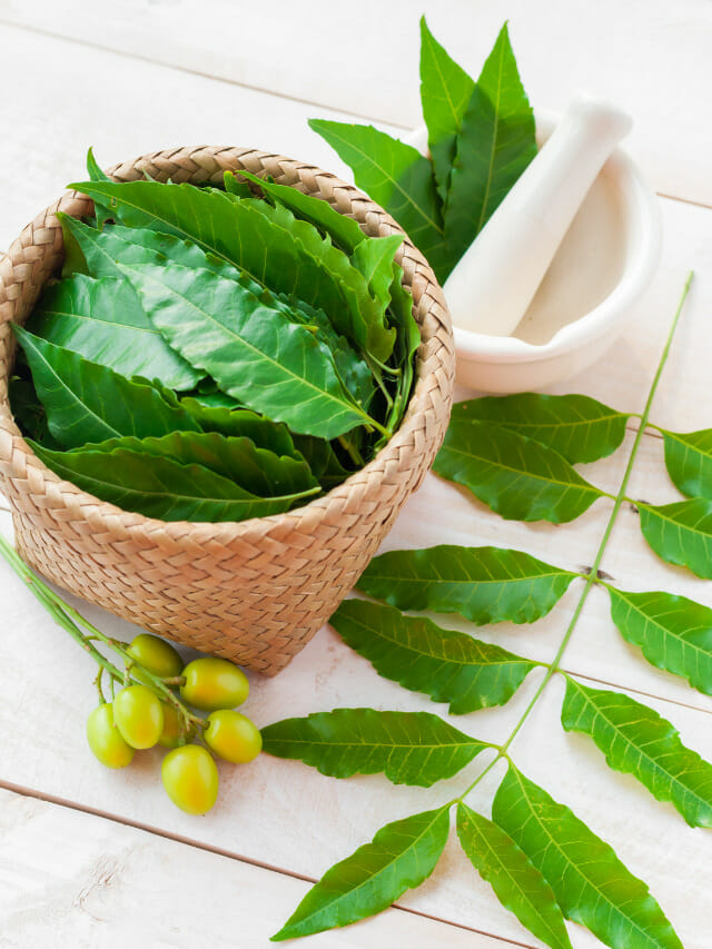 Amazing Neem What Are The Health Benefits Of Neem Powder at Edna Weiss blog