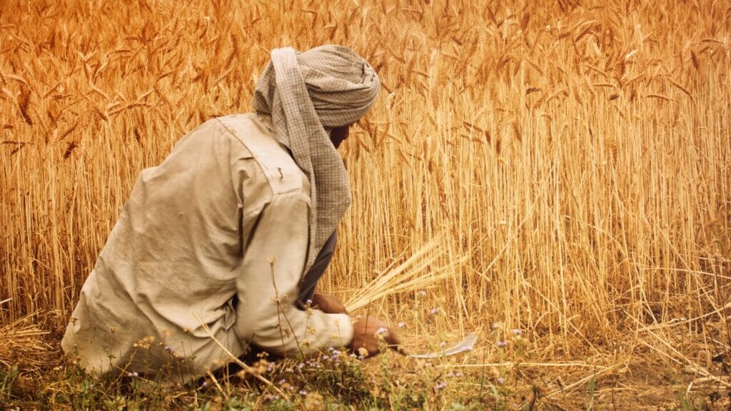 Indian agriculture  scenario